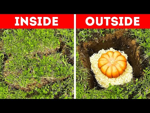 How to Preserve Food longer? Smart food ideas