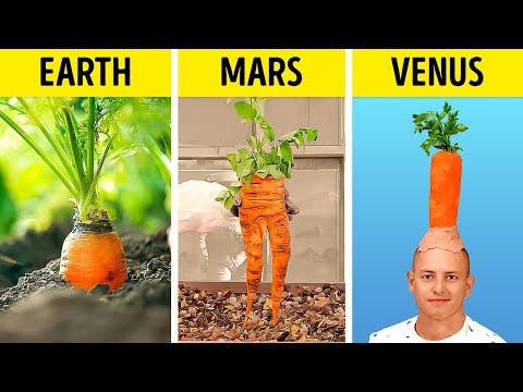 How to grow Plants at Mars and everywhere