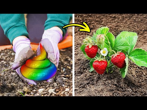 Excellent Garden tricks to grow something special