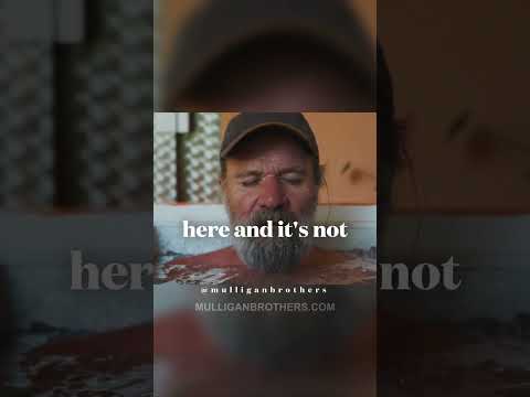 Humans only control 16% of our brain  – Wim Hof #motivation #mulliganbrothers