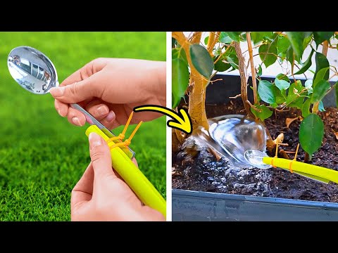 Smart tricks for your Green and blossom Garden