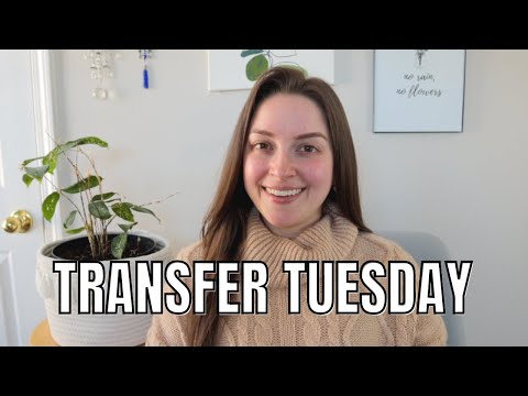 Transfer Tuesday | Investing + Sabbatical Savings 💰