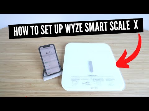 How To Set Up Wyze Smart Scale X