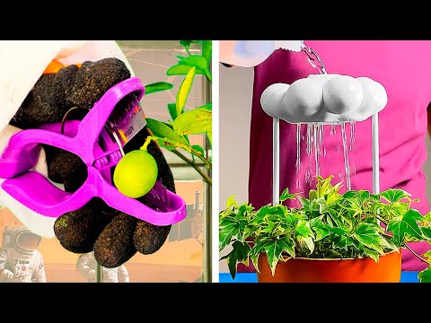Uncover the Hidden World of Plants