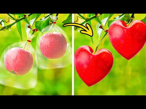Simple Gardening Techniques and Hacks To Try