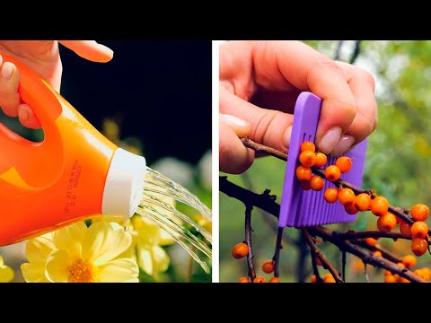 Useful Hacks For Healthy Plants and Easy Gardening