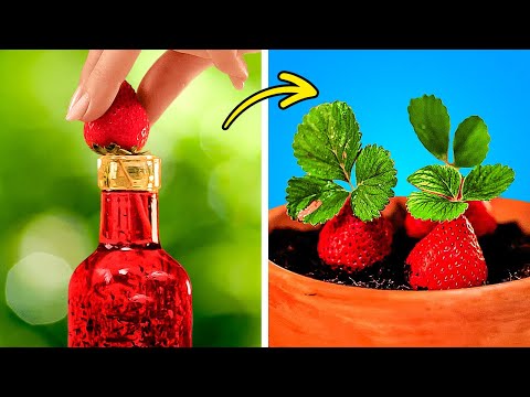How to turn your leftovers into Plants? Amazing smart tricks