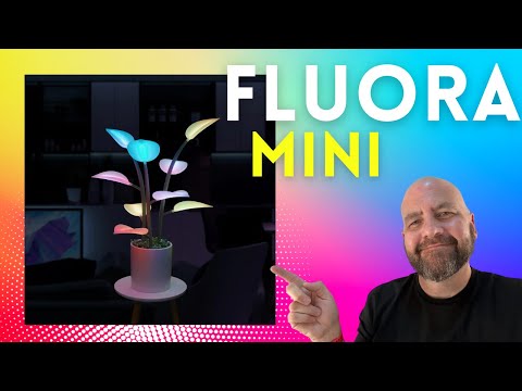 Experience the Future of Home Decor with The Fluora Mini