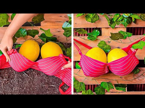 Smart tricks for Blossom and Green Garden