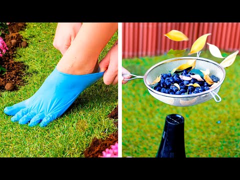 Smart Gardening Hacks to Take You From Beginner to Pro 🌱