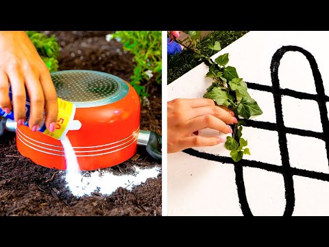 Amazing Gardening Hacks for Beginners 🍎 🍋