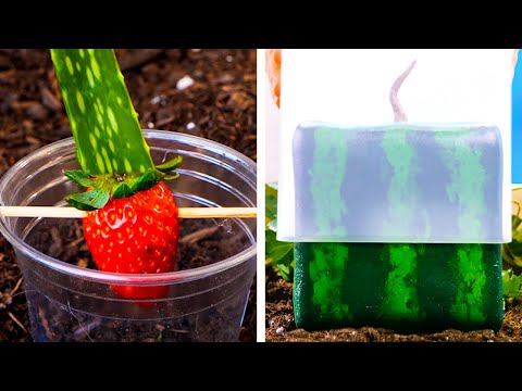 Proven Gardening Hacks That Really Work