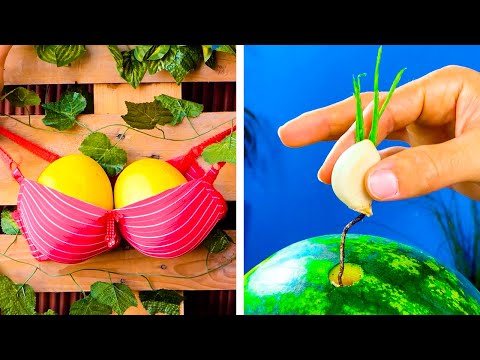 Amazing Hacks for Your Inner Gardener to Grow Plants