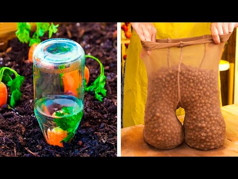 Useful Hacks For Easy Gardening 🌱