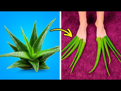 Clever Feet care hacks to keep your legs look amazing!