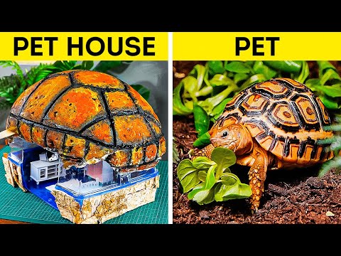 Cute crafts for your lovely Pets. Hacks for cat lovers