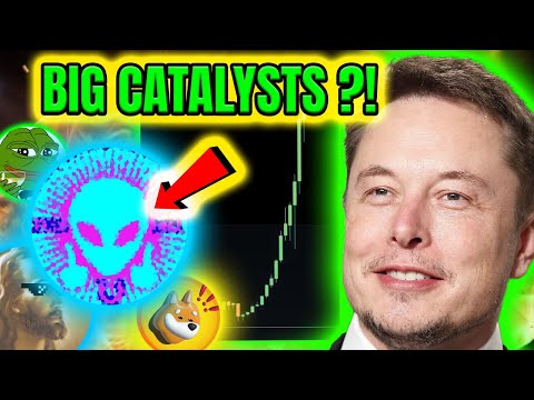 NEW MEMECOIN GEM ON THE RISE? 📈 BIG CATALYSTS COMING SOON! CEX'S ?!!💎NEXT BONK ? NEXT MYRO COIN ?! 🙏