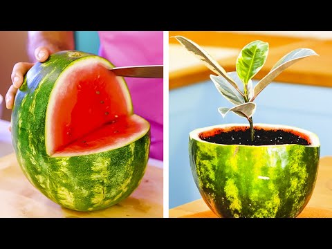 Cool Plant Hacks for Your Home Garden