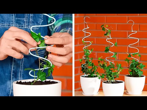 Smart Planting tricks for your blossom mini Garden