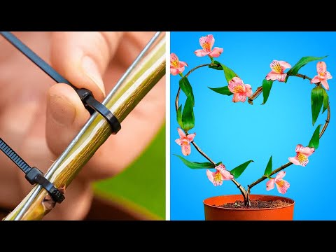 Smart ideas to make your Home Green with Planting