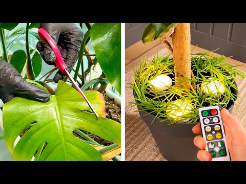 Simple Hacks For Growing Plants