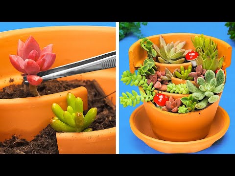 Simple Gardening ideas to make your home Cozy with Plants