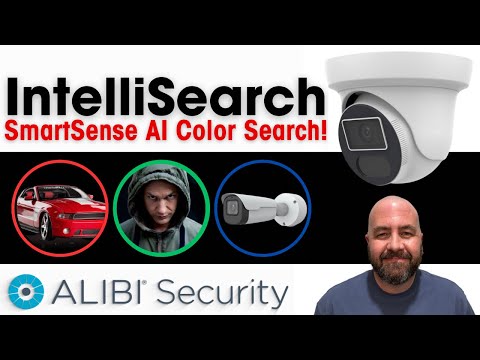 Next Level AI Camera Analytics! Check out Alibi Security's IntelliSearch