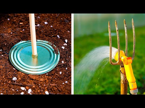 Genius Gardening Tips and Tricks for Plant Enthusiasts!