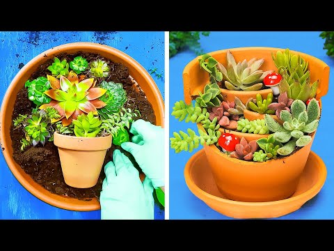 Surprising Planting hacks for your Blossom mini Garden