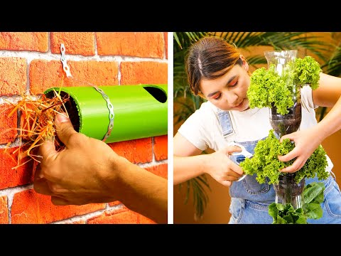 Smart Gardening Tips And Clever Plant Hacks