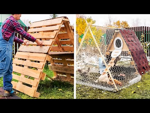 Backyard Patio, eco-farm projects for cozy evenings