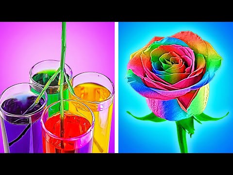Bright Coloring hacks to bring rainbow in your life