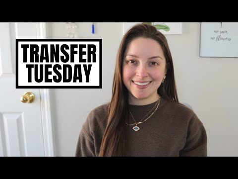 Transfer Tuesday | 401(k) + Travel Sinking Fund