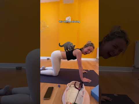 cat yoga in London? 🥹 #catyoga #london