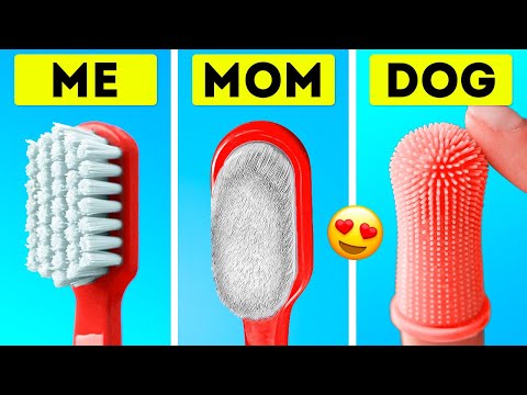 CAT VS. ME | Our Family Is Amazed With These Cute And Smart Pet Gadgets