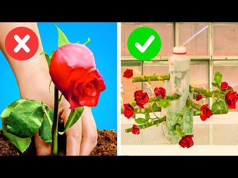 Gardening and farm hacks for your indoor and outdoor plants