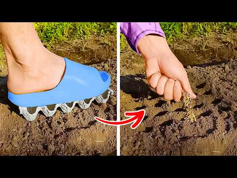 Best Gardening and Farm hacks for your Indoor and Outdoor Plants
