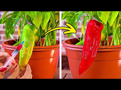 Smart Ways to grow and Protect your Garden all year