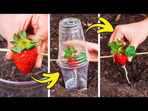 How to Unleash Your Inner Gardener and Transform Plants into Paradise