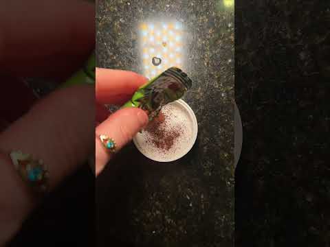 thoughts on this travel beauty hack?! 😳💅  #girltraveler