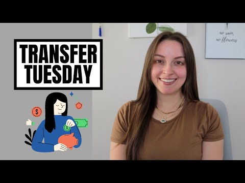 Transfer Tuesday | 401(k) Adjustment + Business Fund and Emergency Fund