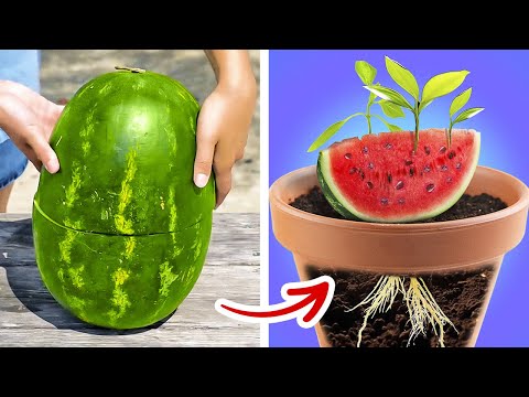 Gardening hacks for your indoor and outdoor plants