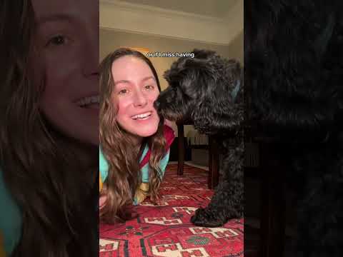 best decision of my life?! 🏡🐾 #housesitting #travellife