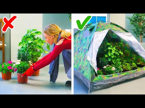 Unusual Fertilizers for Plants to help you Grow unbelievable garden