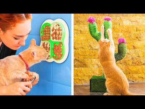 Amazing hacks for smart pet owners