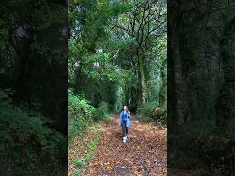 being content over creating content ✌️