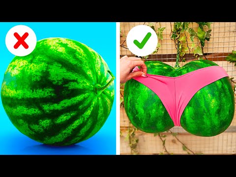 Genius Ideas for Plant Enthusiasts 🌿