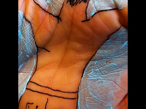 Creating a lifelike illusion 🤯