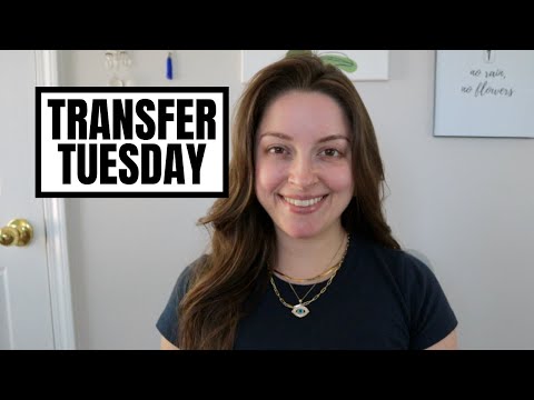 Transfer Tuesday | A Little bit to the Emergency Fund