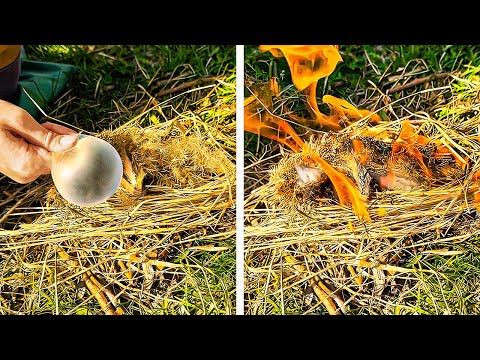 Best surviving tips for different Camps